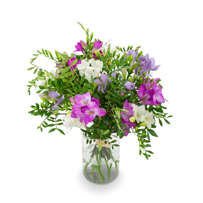 bouquet of freesia